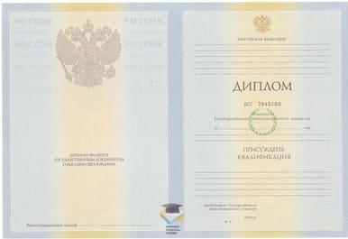 Диплом ИрЮИ (ф) РПА Минюста России 2010-2011 годов